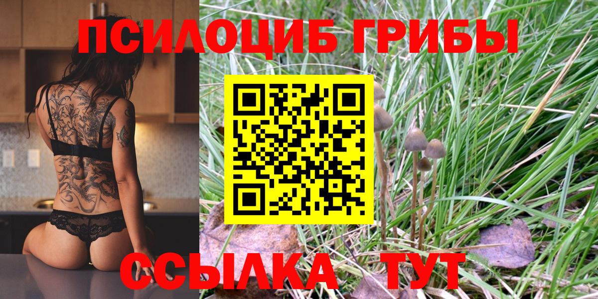Псилоцибиновые грибы Psilocybe  Галлюциногенные грибы GOLDEN TEACHER  Вход с VPN  Кировск 