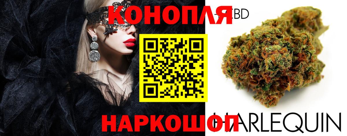 Бошки Шишки тримм Кировск